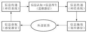 生理的信息過程模型