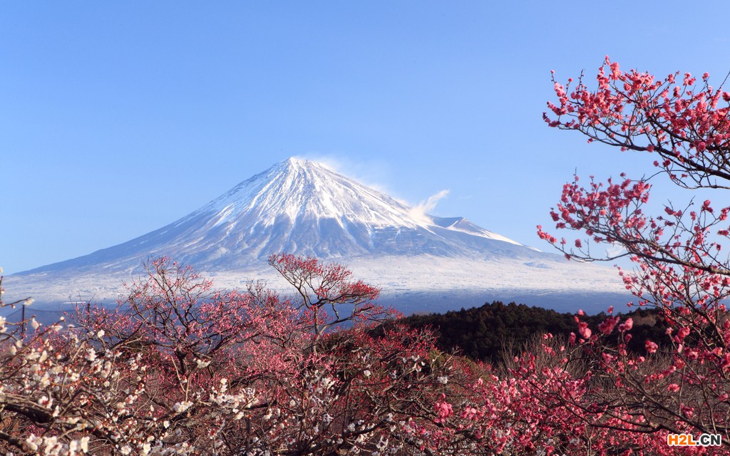 日本商標注冊