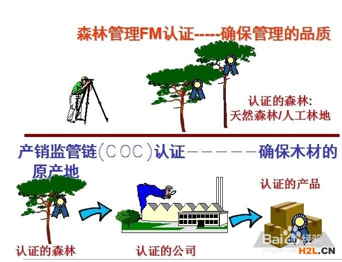 申請(qǐng)F(tuán)SC森林認(rèn)證的流程