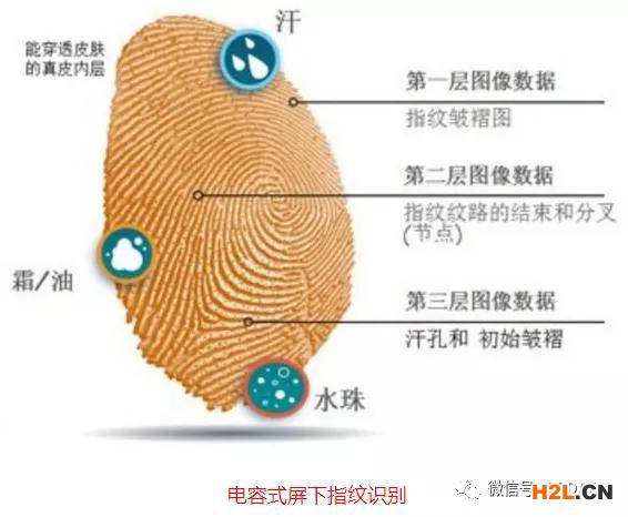 細(xì)分領(lǐng)域的專利代理-淺談光電顯示指紋識別技術(shù)