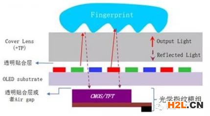 細(xì)分領(lǐng)域的專利代理-淺談光電顯示指紋識別技術(shù)