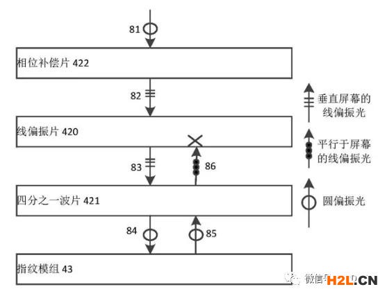 細(xì)分領(lǐng)域的專利代理-淺談光電顯示指紋識別技術(shù)