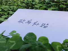 酒泉求職創(chuàng)業(yè)補(bǔ)貼申領(lǐng)法律依據(jù)是什么