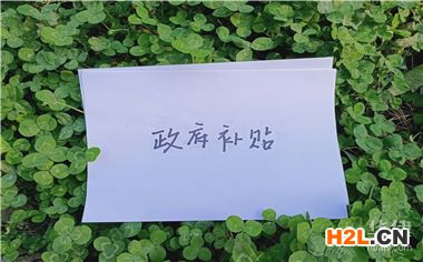 天水高校畢業(yè)生社保補(bǔ)貼申領(lǐng)要辦多久