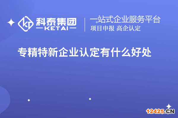 專精特新企業(yè)認(rèn)定有什么好處