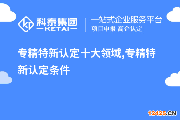 專精特新認(rèn)定十大領(lǐng)域,專精特新認(rèn)定條件