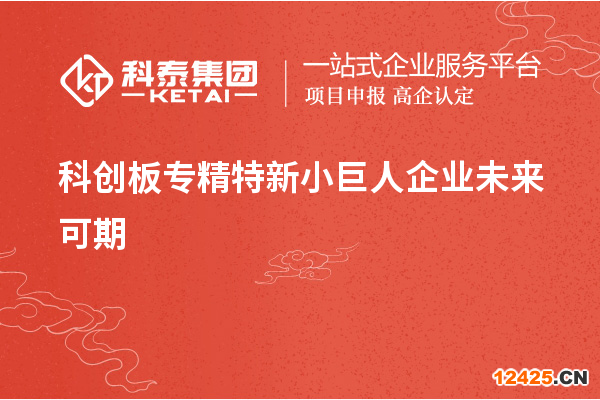 科創(chuàng)板專精特新小巨人企業(yè)未來可期