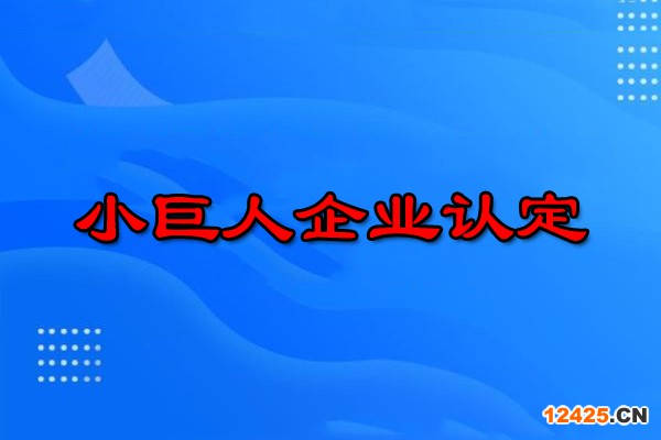 小巨人企業(yè)認(rèn)定