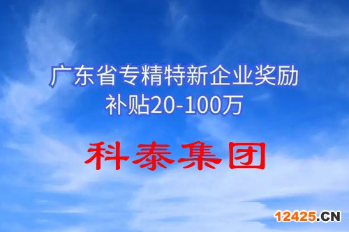 省級專精特新企業(yè)有什么補助