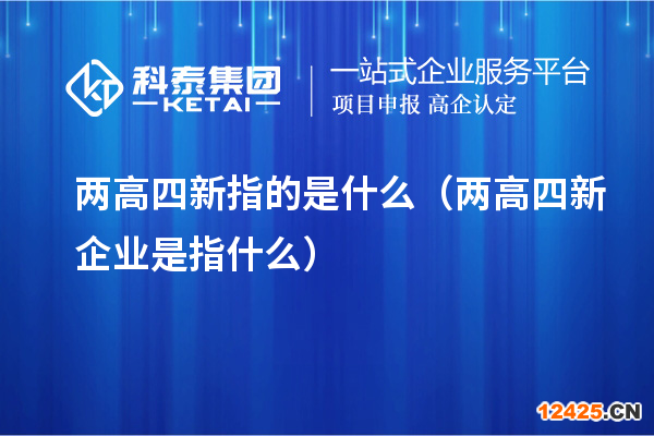 兩高四新指的是什么（兩高四新企業(yè)是指什么）