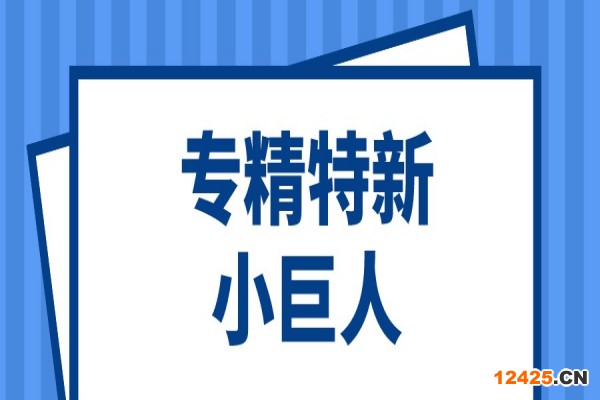 第三批第一年建議支持的國家級專精特新“小巨人”企業(yè)名單和2022年度申請簡單更名的專精特新“小巨人”企業(yè)名單的公示