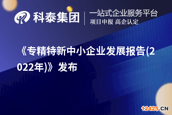 《專精特新中小企業(yè)發(fā)展報(bào)告(2022年)》發(fā)布