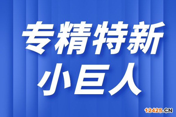 廣東省第四批專精特新“小巨人”企業(yè)和第一批專精特新“小巨人”復(fù)核通過企業(yè)名單公示