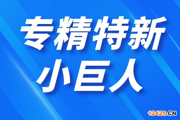 深圳市第四批專精特新“小巨人”企業(yè)和第一批專精特新“小巨人”復(fù)核通過(guò)企業(yè)名單公示