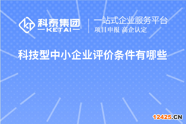 科技型中小企業(yè)評價條件有哪些