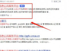 全國(guó)認(rèn)證認(rèn)可信息公共服務(wù)平臺(tái)