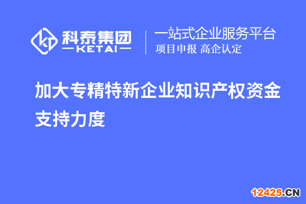 加大專精特新企業(yè)知識產(chǎn)權資金支持力度