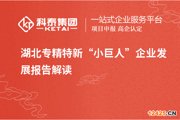 湖北專精特新“小巨人”企業(yè)發(fā)展報(bào)告解讀