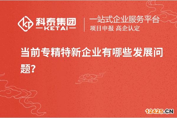 當(dāng)前專精特新企業(yè)有哪些發(fā)展問題？