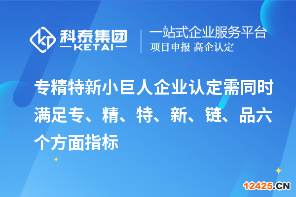 專精特新小巨人企業(yè)認定需同時滿足專、精、特、 新、鏈、品六個方面指標