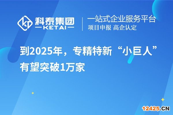 到2025年，專精特新“小巨人”有望突破1萬(wàn)家