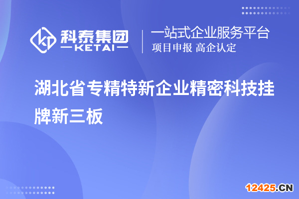 湖北省專精特新企業(yè)精密科技掛牌新三板