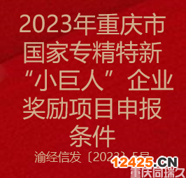 2023年重慶市國家專精特新“小巨人”企業(yè)獎勵項目申報條件(圖1)