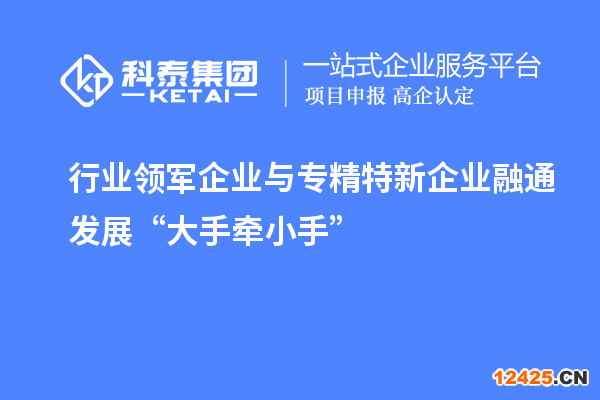 行業(yè)領(lǐng)軍企業(yè)與專精特新企業(yè)融通發(fā)展“大手牽小手”