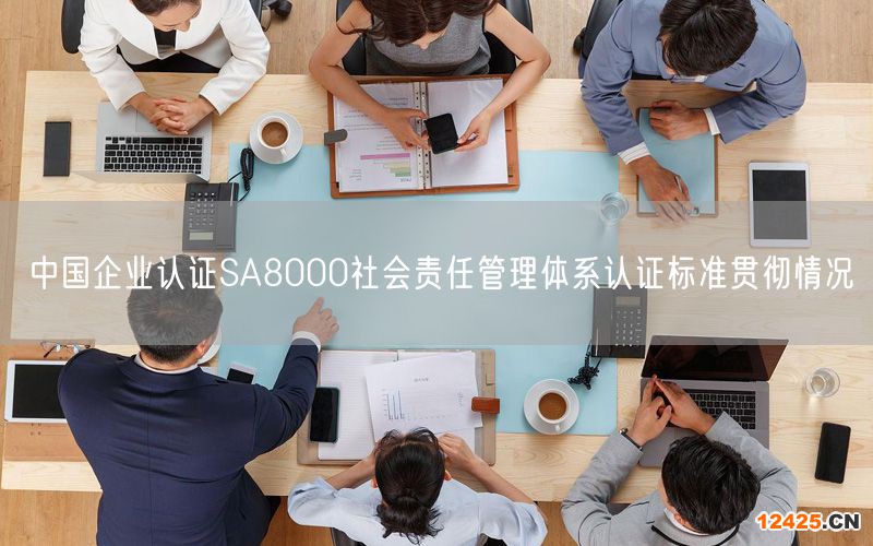 中國企業(yè)認(rèn)證SA8000社會責(zé)任管理體系認(rèn)證標(biāo)準(zhǔn)貫徹情況(0)