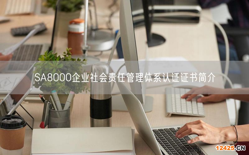 SA8000企業(yè)社會責任管理體系認證證書簡介(0)