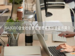 SA8000企業(yè)社會(huì)責(zé)任管理體系認(rèn)證證書簡(jiǎn)介