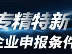 2023年專精特新申報(bào)條件