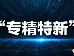 專精特新中小企業(yè)有什么好處