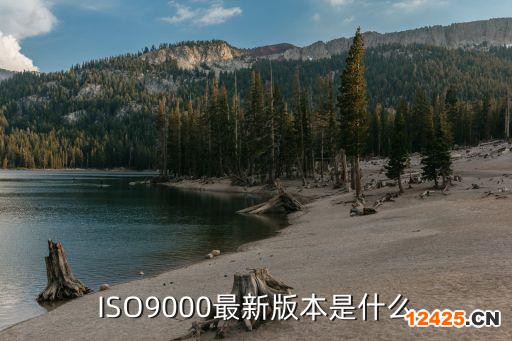 ISO9000最新版本是什么