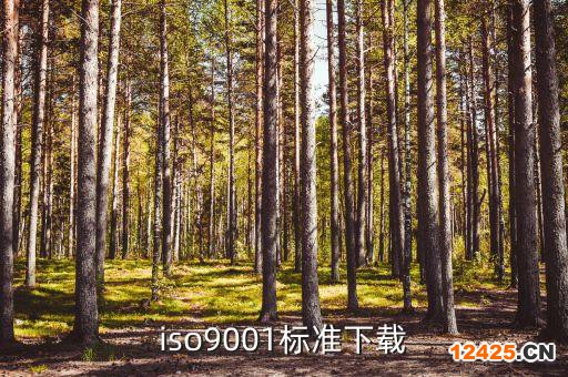 iso9001標(biāo)準(zhǔn)下載