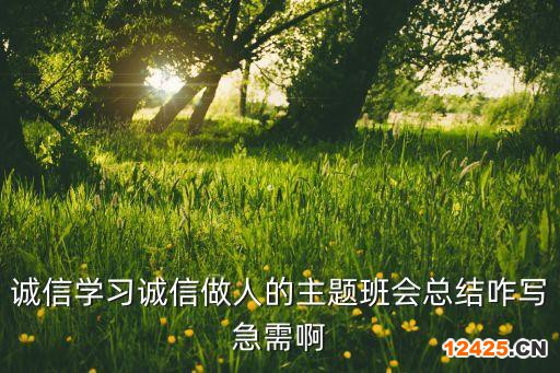 誠信學(xué)習(xí)誠信做人的主題班會總結(jié)咋寫急需啊