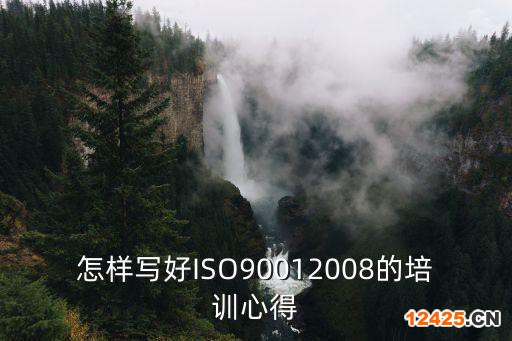 怎樣寫好ISO90012008的培訓(xùn)心得