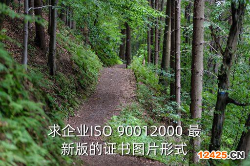 求企業(yè)ISO 90012000 最新版的證書圖片形式