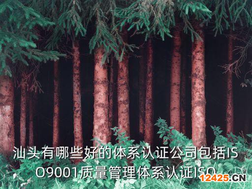 汕頭有哪些好的體系認(rèn)證公司包括ISO9001質(zhì)量管理體系認(rèn)證ISO