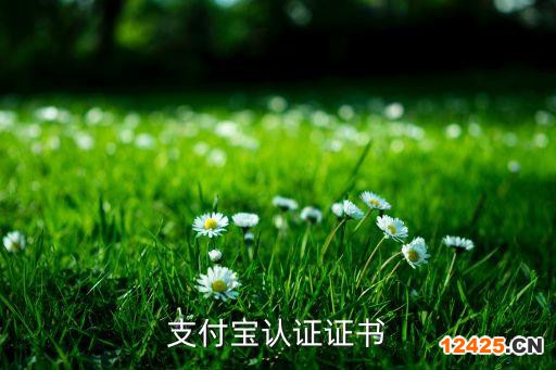 支付寶認(rèn)證證書