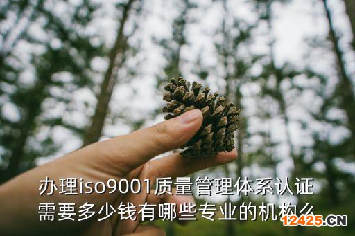 辦理iso9001質(zhì)量管理體系認(rèn)證需要多少錢(qián)有哪些專業(yè)的機(jī)構(gòu)么