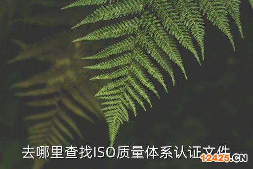 去哪里查找ISO質(zhì)量體系認(rèn)證文件