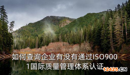 如何查詢企業(yè)有沒(méi)有通過(guò)ISO9001國(guó)際質(zhì)量管理體系認(rèn)證