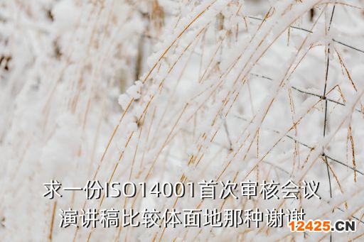 求一份ISO14001首次審核會議演講稿比較體面地那種謝謝