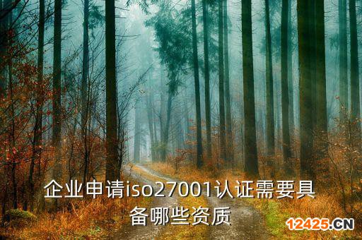 企業(yè)申請(qǐng)iso27001認(rèn)證需要具備哪些資質(zhì)