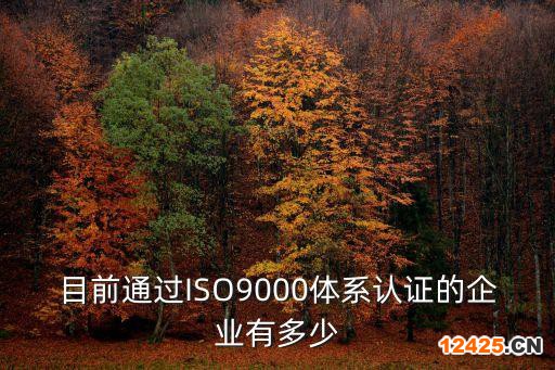 目前通過(guò)ISO9000體系認(rèn)證的企業(yè)有多少