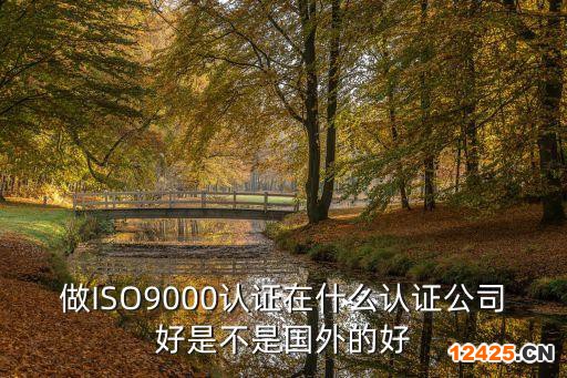 做ISO9000認(rèn)證在什么認(rèn)證公司好是不是國(guó)外的好