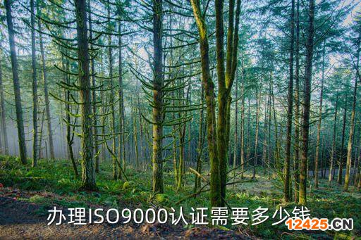 辦理ISO9000認(rèn)證需要多少錢