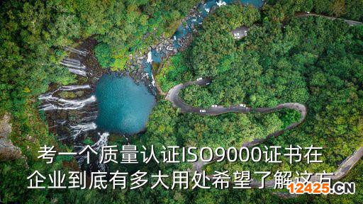 考一個(gè)質(zhì)量認(rèn)證ISO9000證書(shū)在企業(yè)到底有多大用處希望了解這方