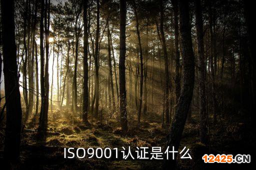 ISO9001認(rèn)證是什么